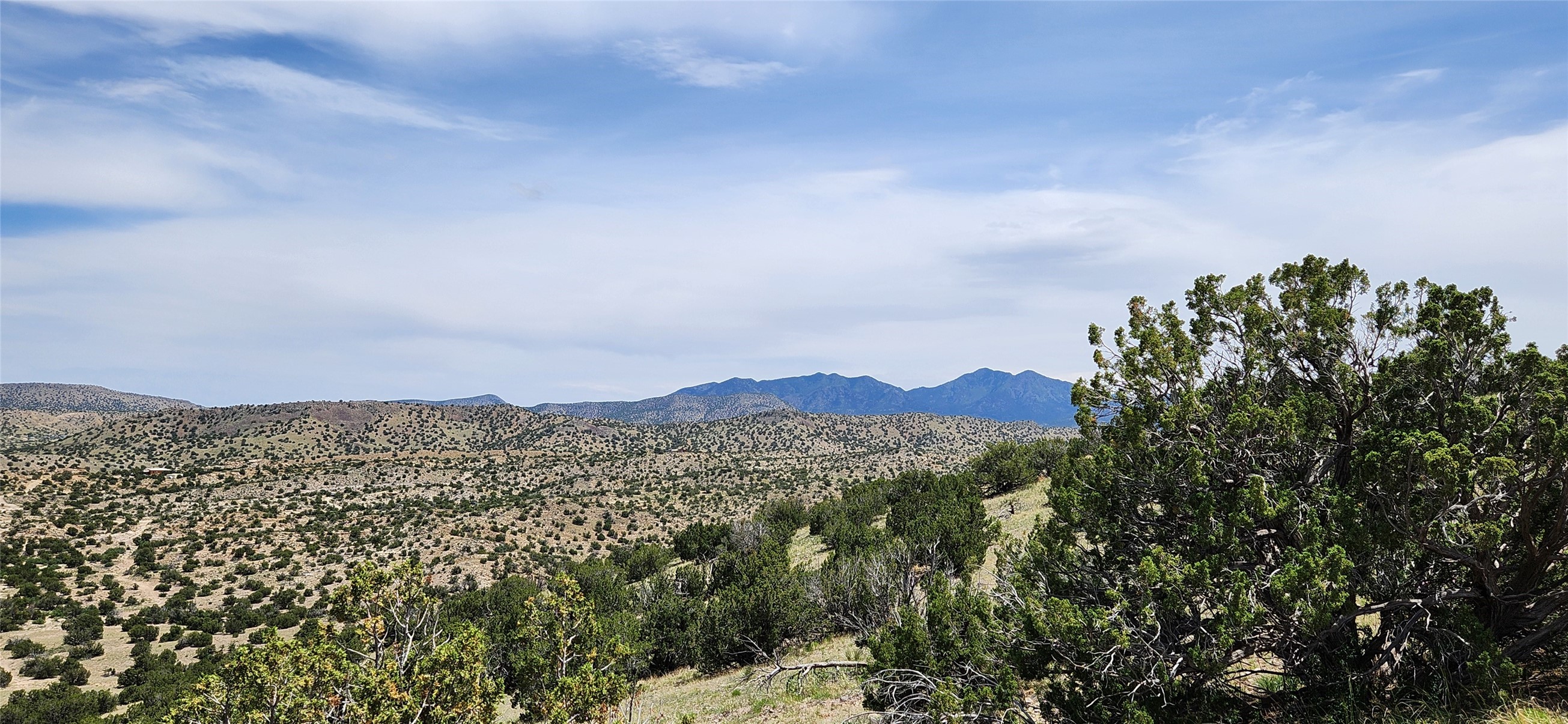 258 Red Rock, Cerrillos, New Mexico image 25