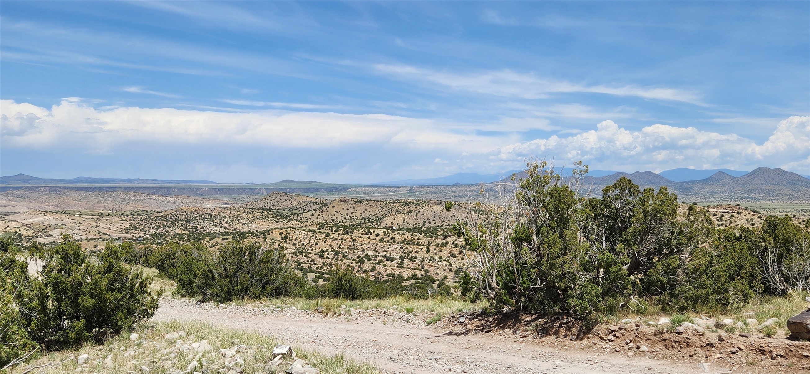 258 Red Rock, Cerrillos, New Mexico image 22