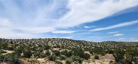 Tiny photo for 258 Red Rock, Cerrillos, NM 87010 (MLS # 202502345)