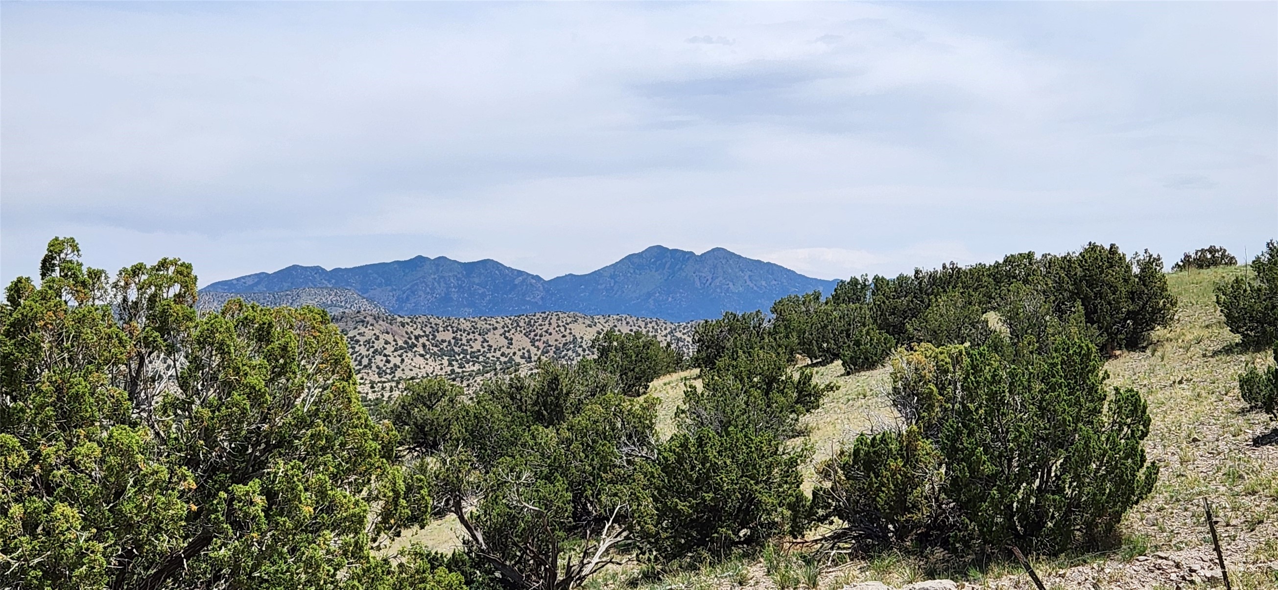 258 Red Rock, Cerrillos, New Mexico image 23