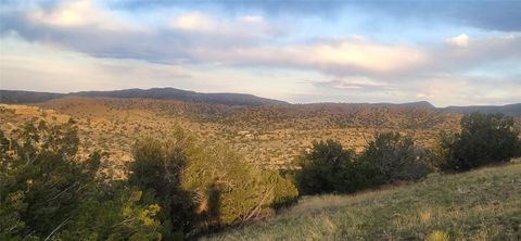 Tiny photo for 258 Red Rock, Cerrillos, NM 87010 (MLS # 202502345)