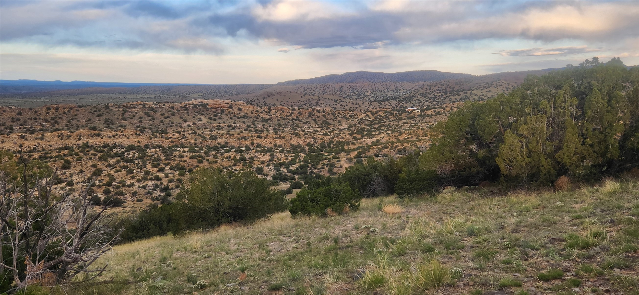 258 Red Rock, Cerrillos, New Mexico image 8
