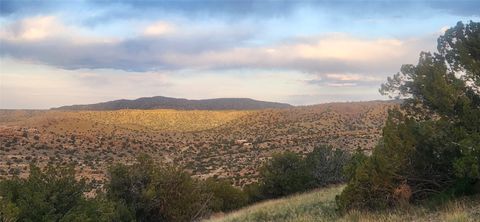 Tiny photo for 258 Red Rock, Cerrillos, NM 87010 (MLS # 202502345)