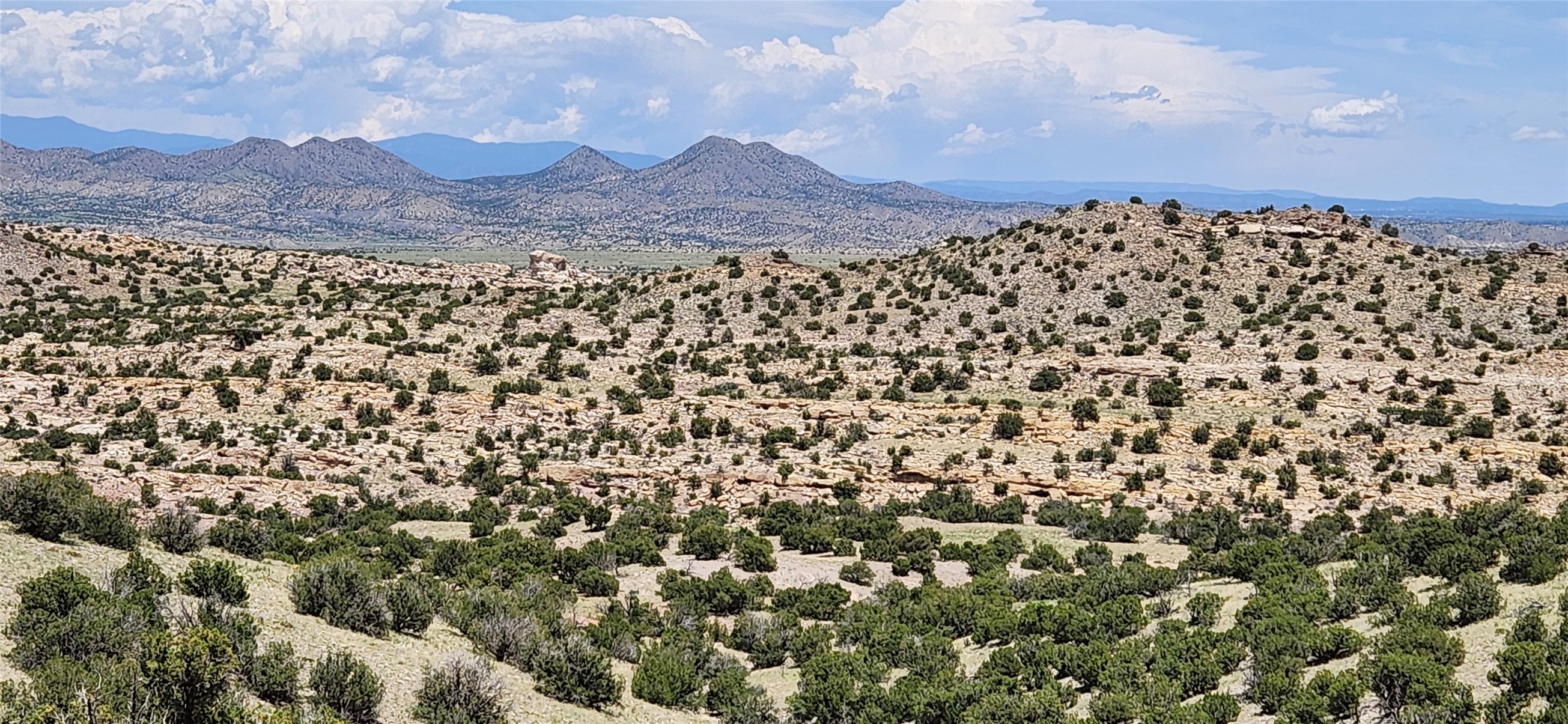 258 Red Rock, Cerrillos, New Mexico image 30