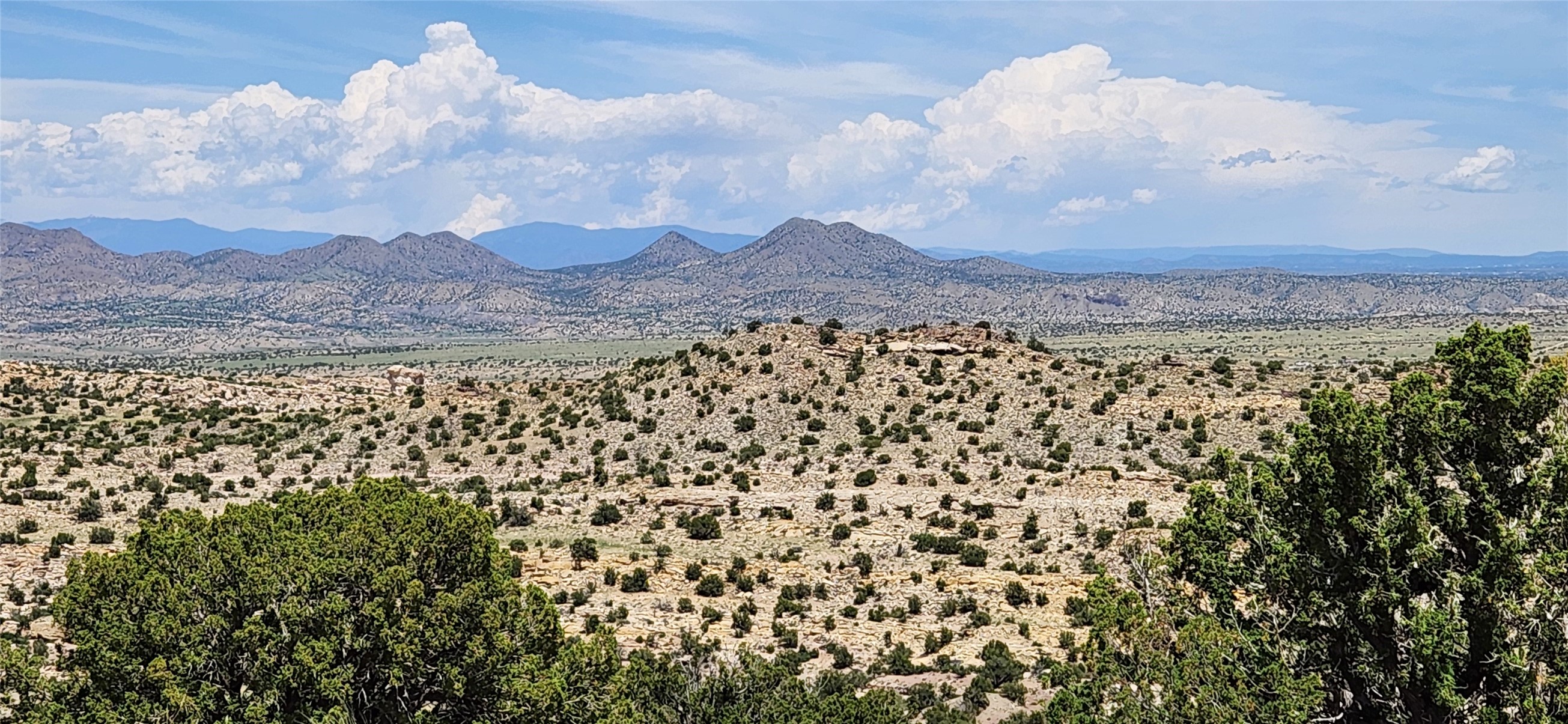 258 Red Rock, Cerrillos, New Mexico image 29