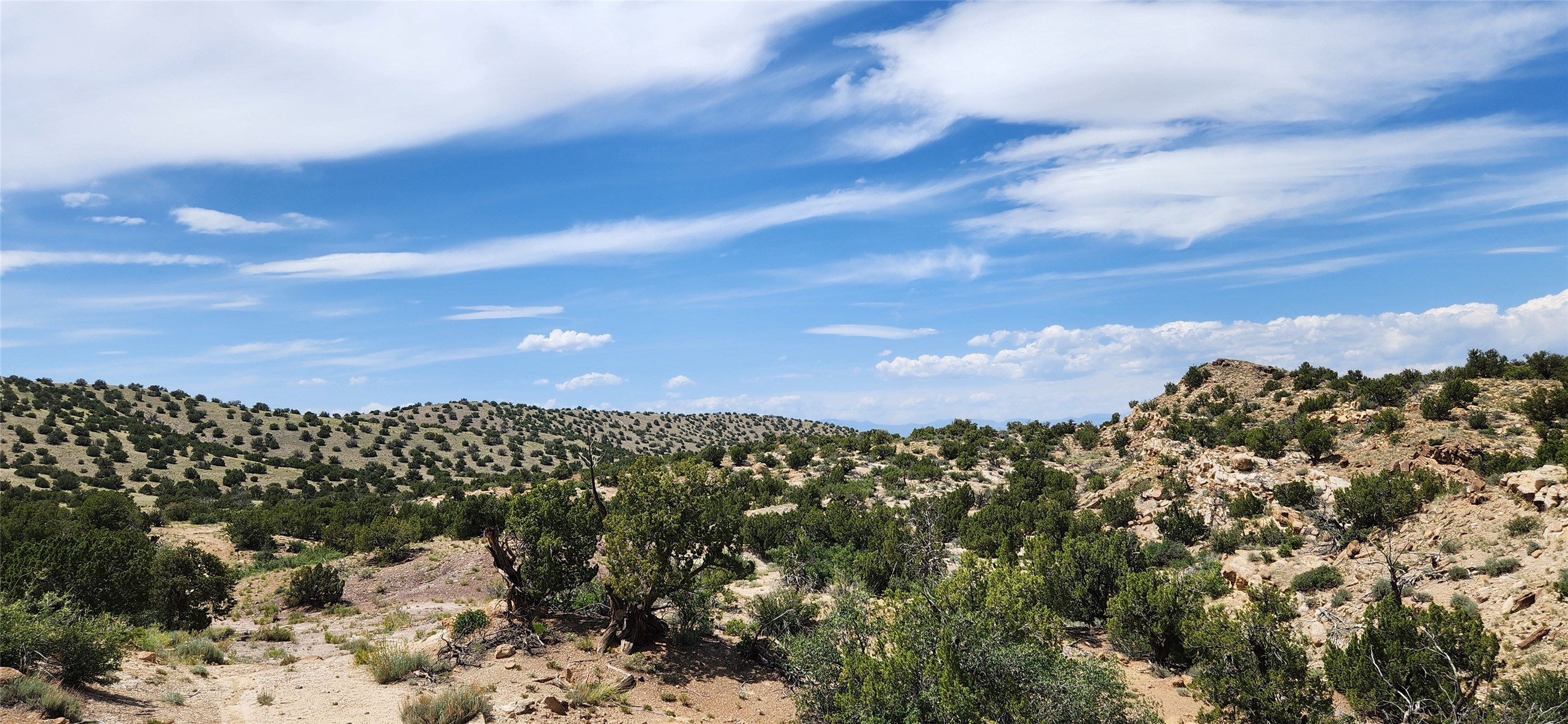 258 Red Rock, Cerrillos, New Mexico image 36