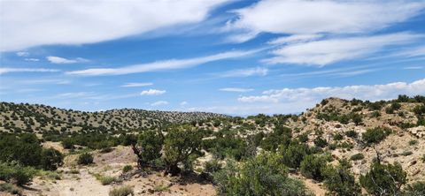 Tiny photo for 258 Red Rock, Cerrillos, NM 87010 (MLS # 202502345)