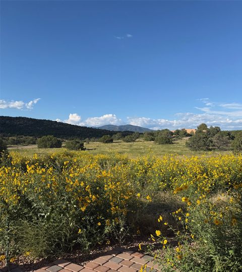 Tiny photo for 176 Principe De Paz, Santa Fe, NM 87508 (MLS # 202600678)