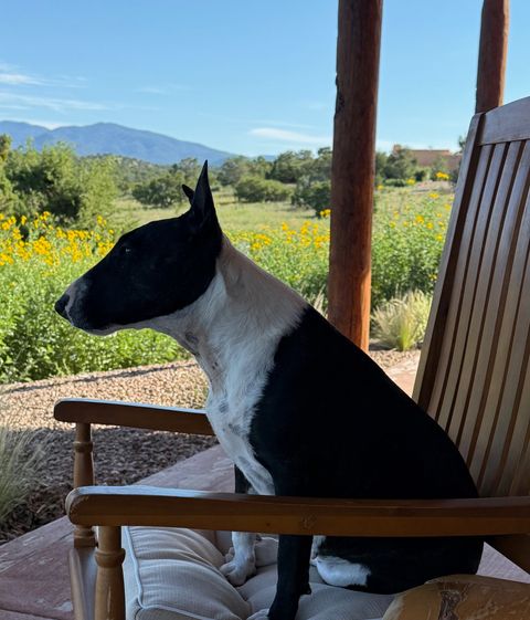 Tiny photo for 176 Principe De Paz, Santa Fe, NM 87508 (MLS # 202600678)