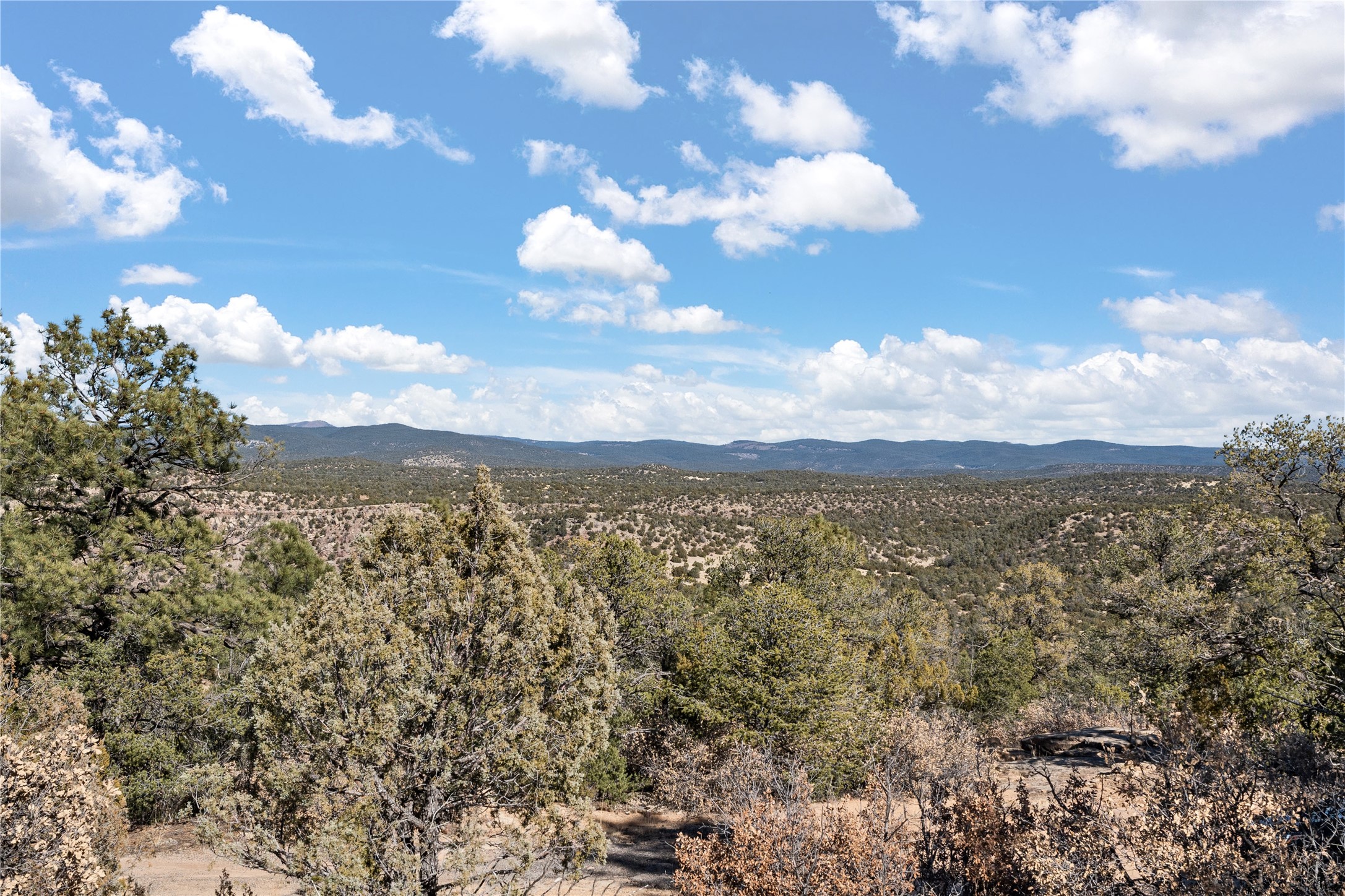 Off River Road, 10 Acres, Rowe, New Mexico image 1