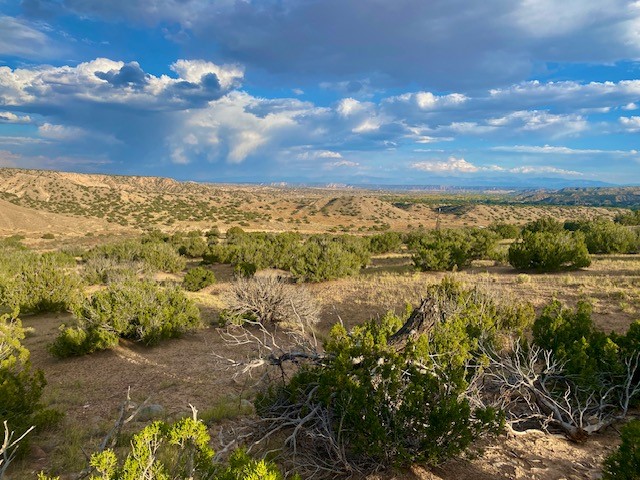 Lot 79 County Rd 156, Abiquiu, New Mexico image 4