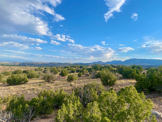 Lot 79 County Rd 156, Abiquiu, New Mexico image 2