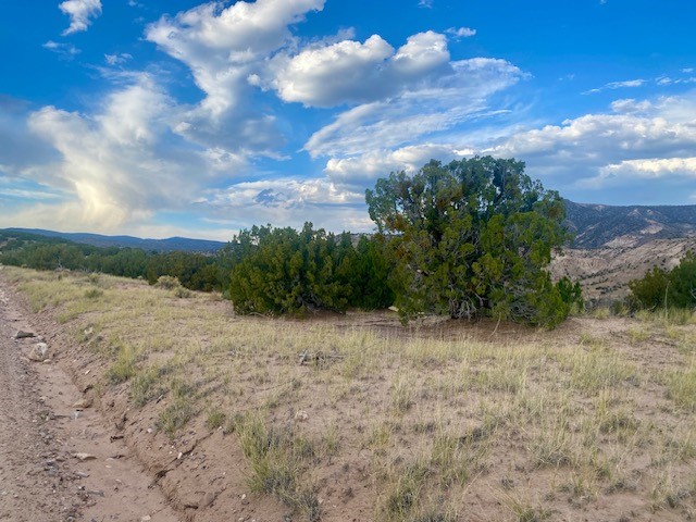 Lot 79 County Rd 156, Abiquiu, New Mexico image 9