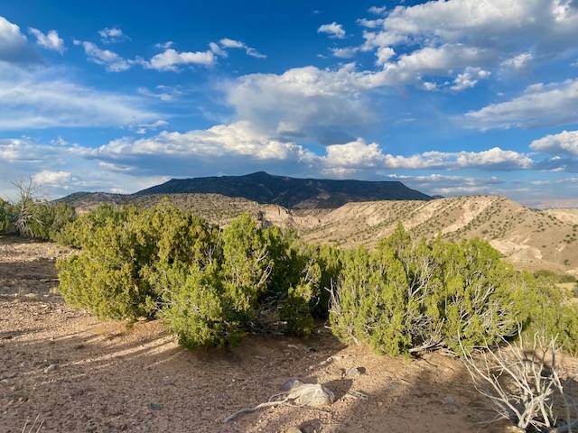 Lot 79 County Rd 156, Abiquiu, New Mexico image 7