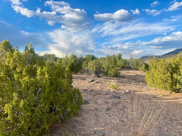 Lot 79 County Rd 156, Abiquiu, New Mexico image 6