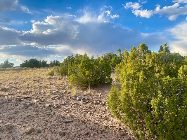 Lot 79 County Rd 156, Abiquiu, New Mexico image 5