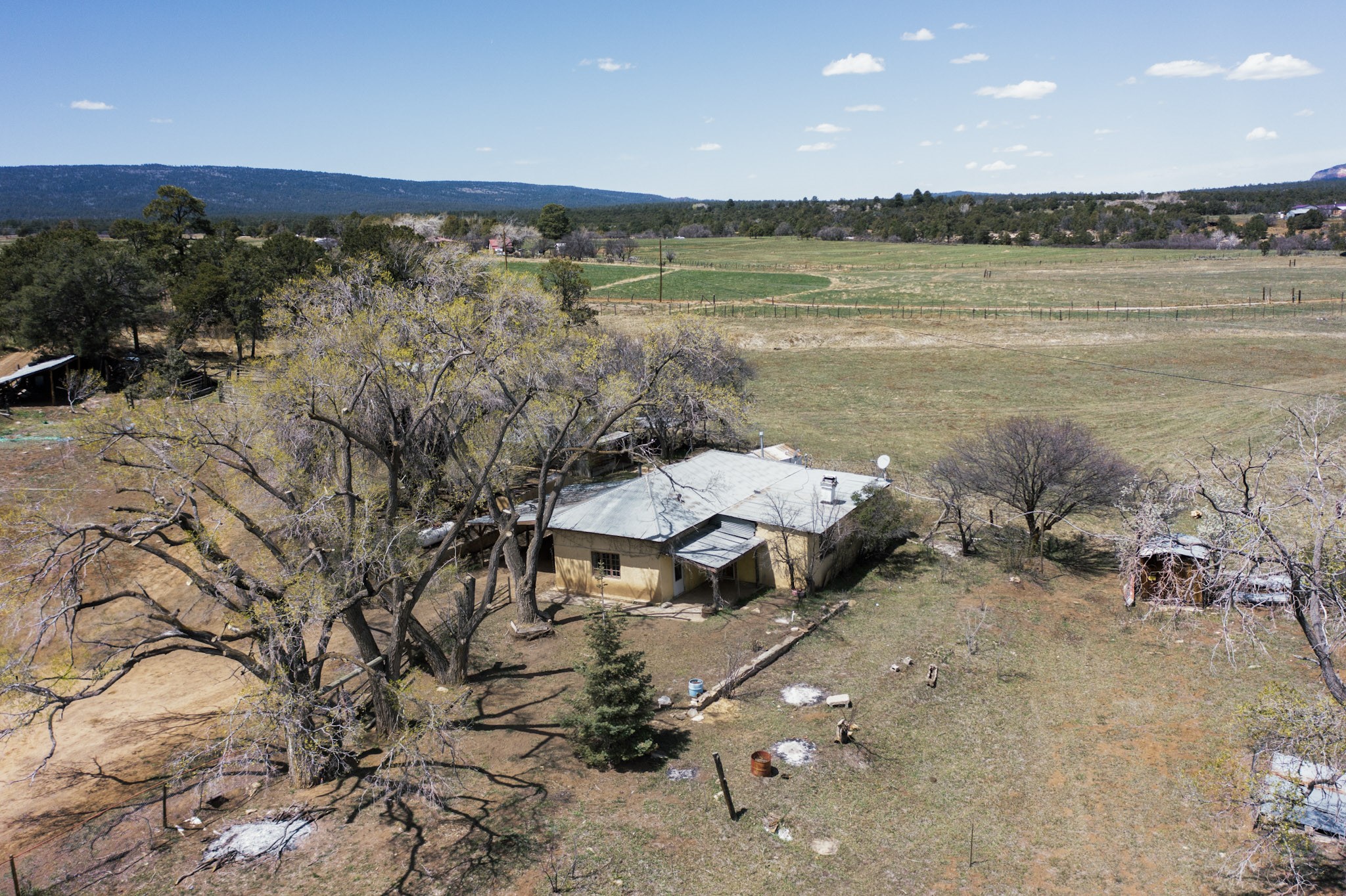 440 County Road 426, Coyote, New Mexico image 2