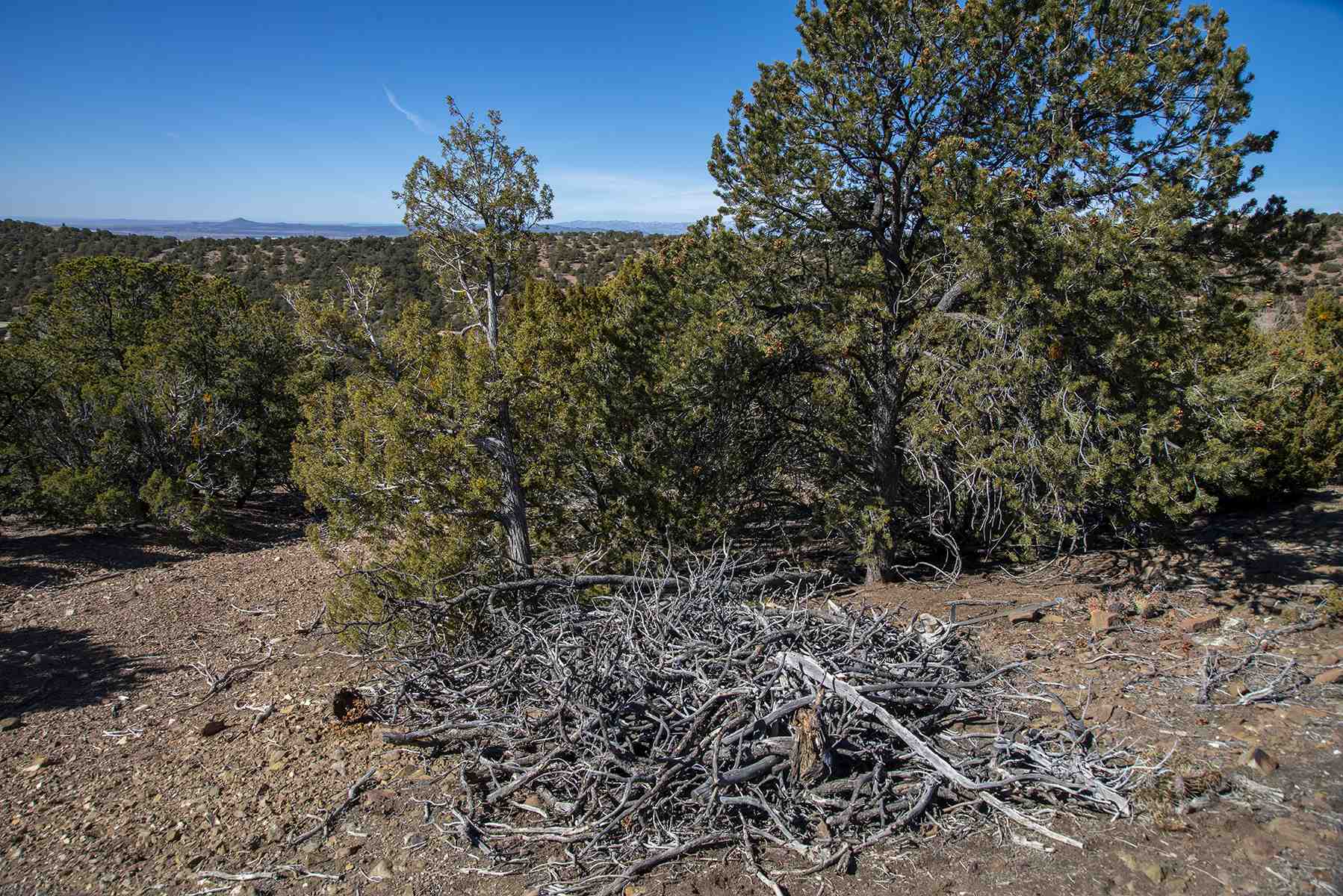 Lot 79 Cerro Escondido, Santa Fe, New Mexico image 25