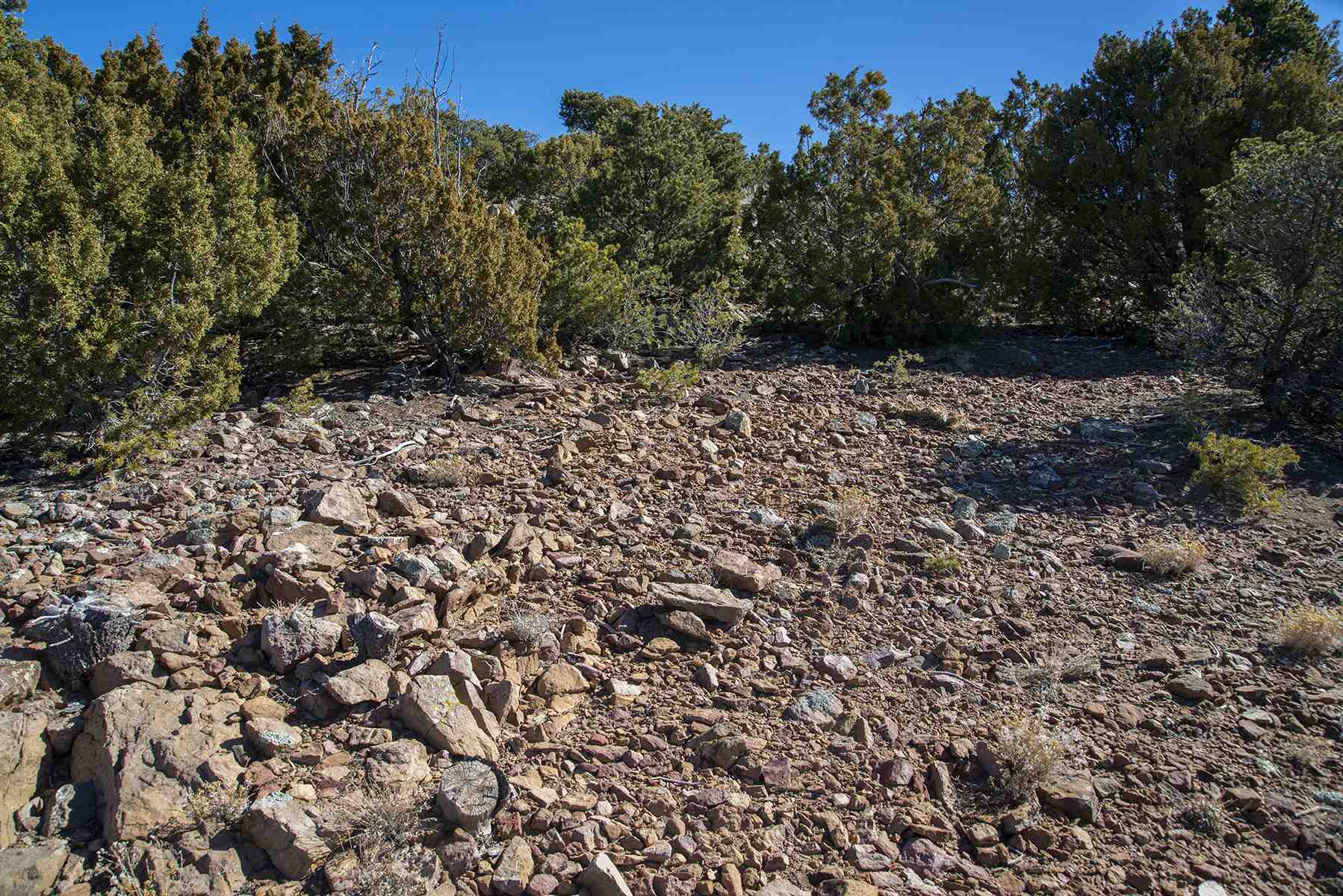 Lot 79 Cerro Escondido, Santa Fe, New Mexico image 13