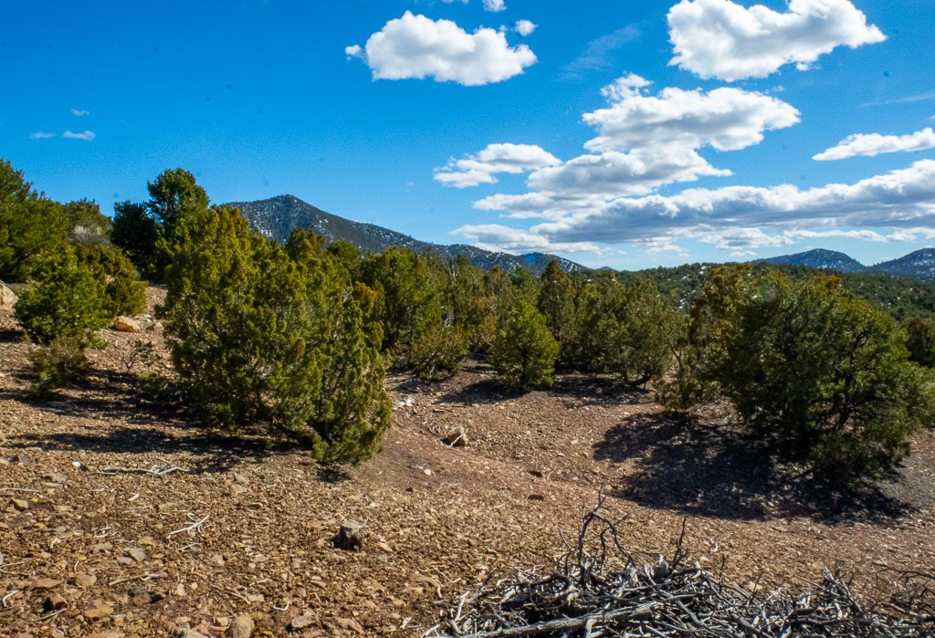 Lot 79 Cerro Escondido, Santa Fe, New Mexico image 4