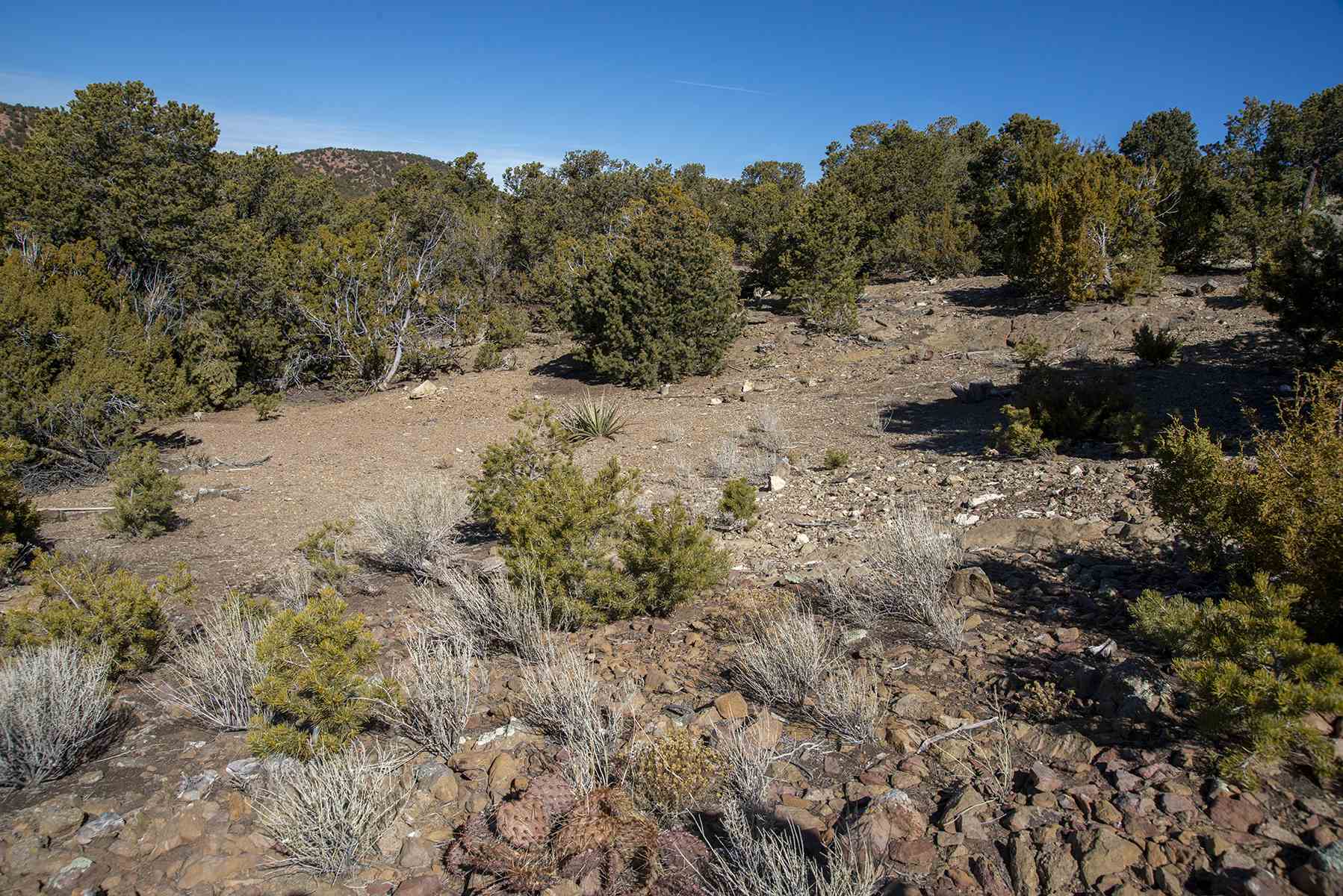 Lot 79 Cerro Escondido, Santa Fe, New Mexico image 21