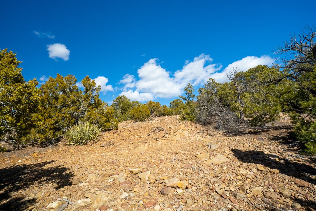 Lot 79 Cerro Escondido, Santa Fe, New Mexico image 28