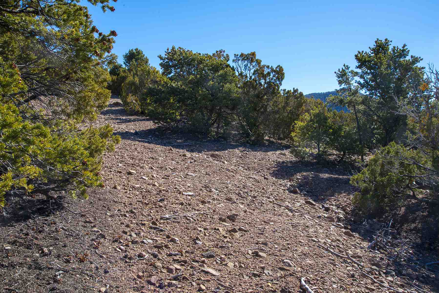 Lot 79 Cerro Escondido, Santa Fe, New Mexico image 12
