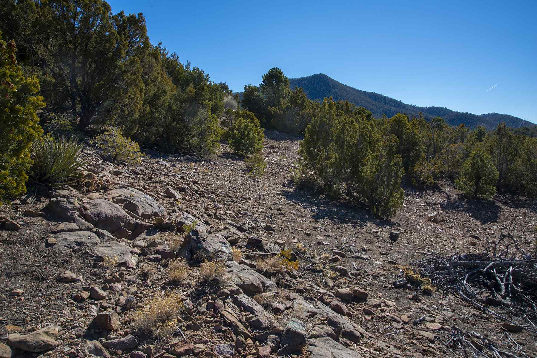 Lot 79 Cerro Escondido, Santa Fe, New Mexico image 9