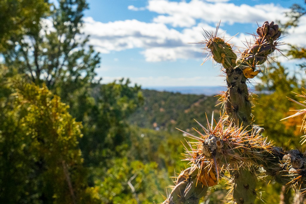 Lot 79 Cerro Escondido, Santa Fe, New Mexico image 31