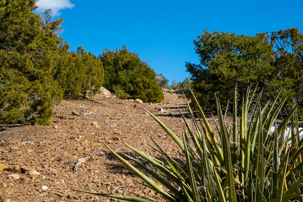 Lot 79 Cerro Escondido, Santa Fe, New Mexico image 29