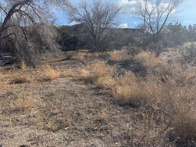 County Road 52, Velarde, New Mexico image 2