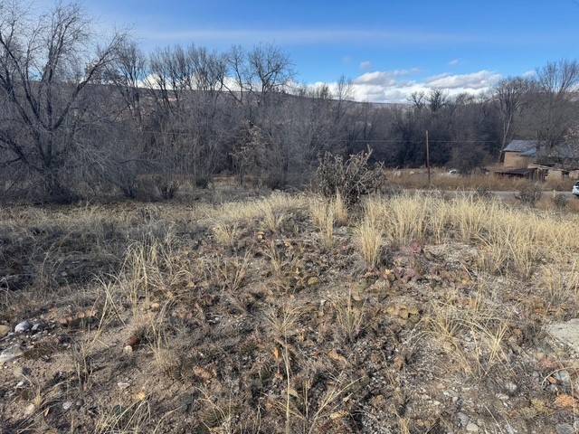 County Road 52, Velarde, New Mexico image 3