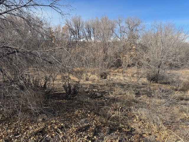 County Road 52, Velarde, New Mexico image 6