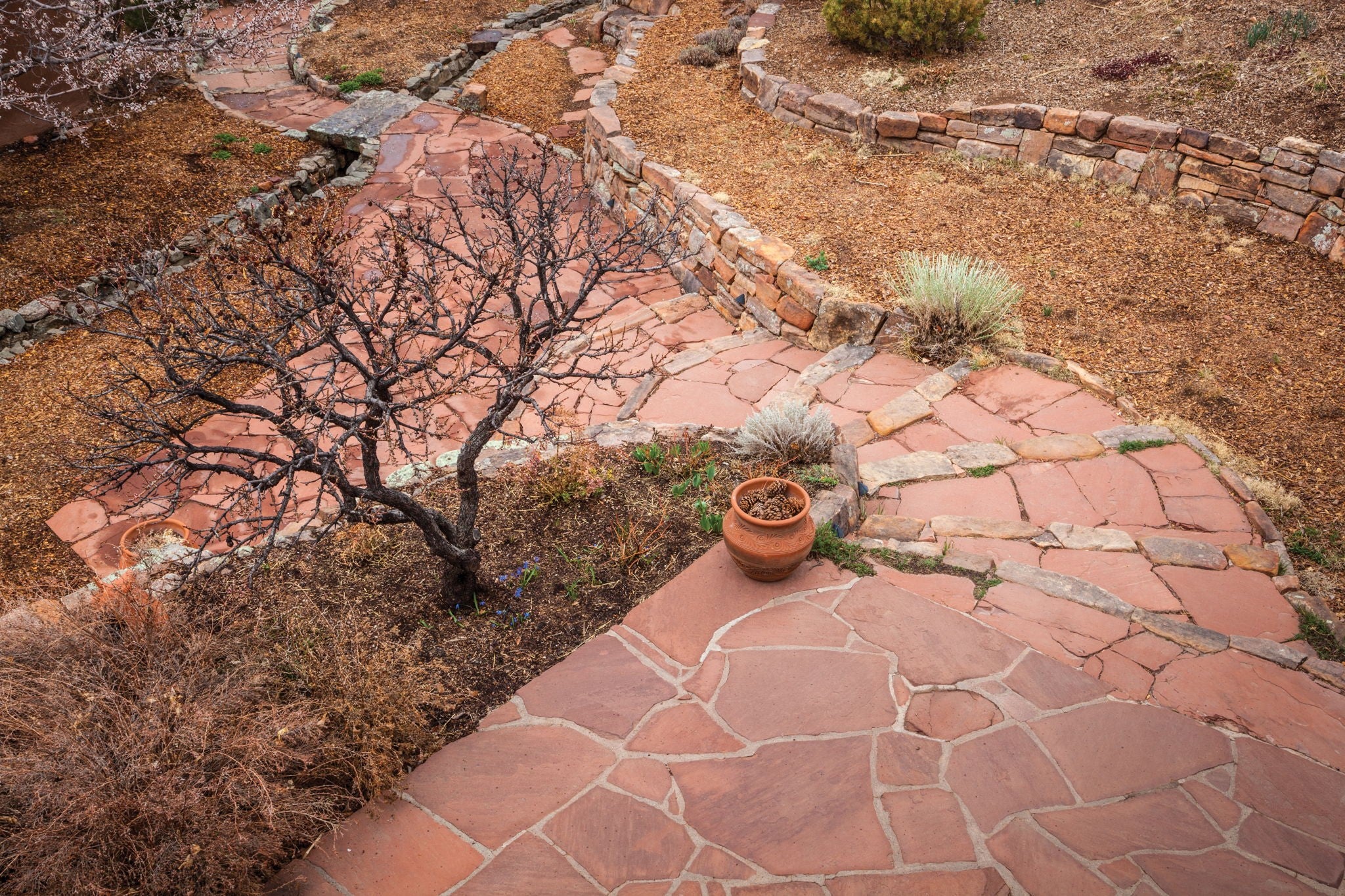 1692 Upper Canyon - Photo 2