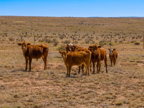 Tiny photo for 4006 NM 14, Santa Fe, NM 87508 (MLS # 202600392)