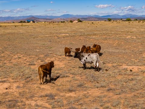 Tiny photo for 4006 NM 14, Santa Fe, NM 87508 (MLS # 202600392)