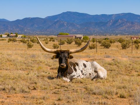 Tiny photo for 4006 NM 14, Santa Fe, NM 87508 (MLS # 202600392)