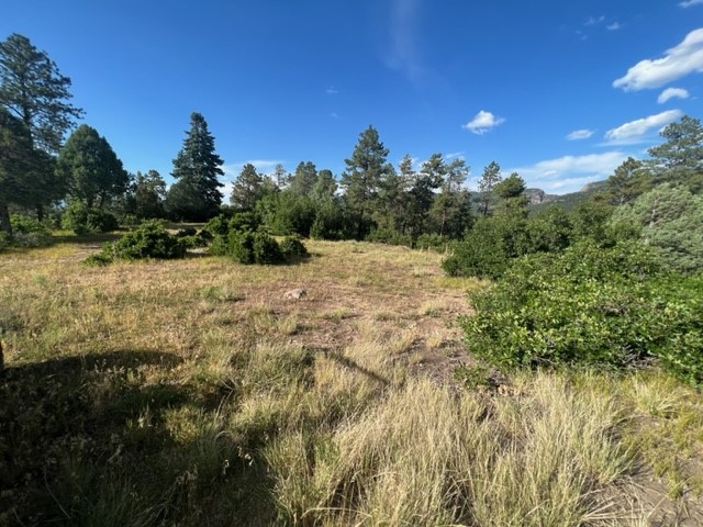 TBD Log Ridge Trail, Chama, New Mexico image 11