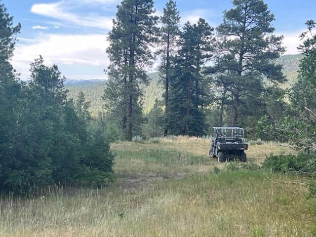 TBD Log Ridge Trail, Chama, New Mexico image 7