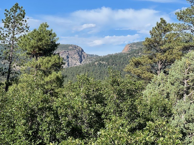 TBD Log Ridge Trail, Chama, New Mexico image 10