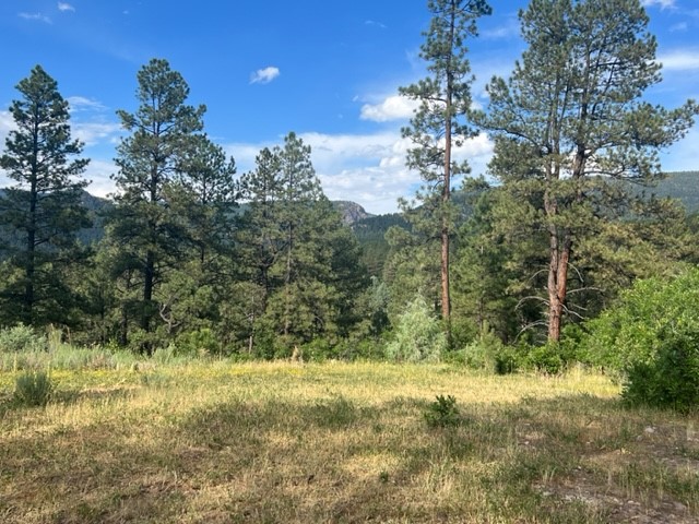 TBD Log Ridge Trail, Chama, New Mexico image 3