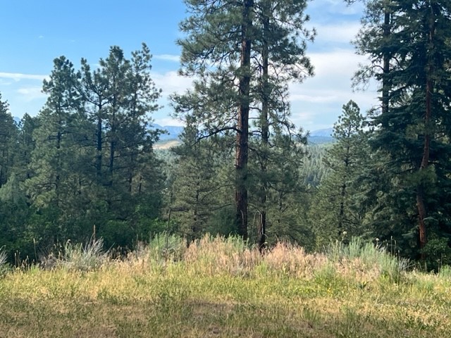 TBD Log Ridge Trail, Chama, New Mexico image 4