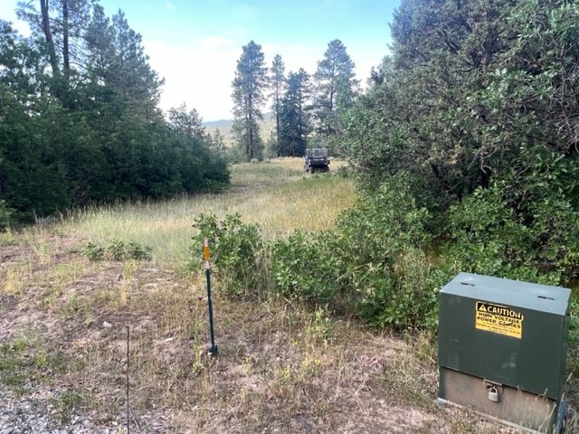 TBD Log Ridge Trail, Chama, New Mexico image 6