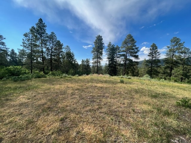 TBD Log Ridge Trail, Chama, New Mexico image 5