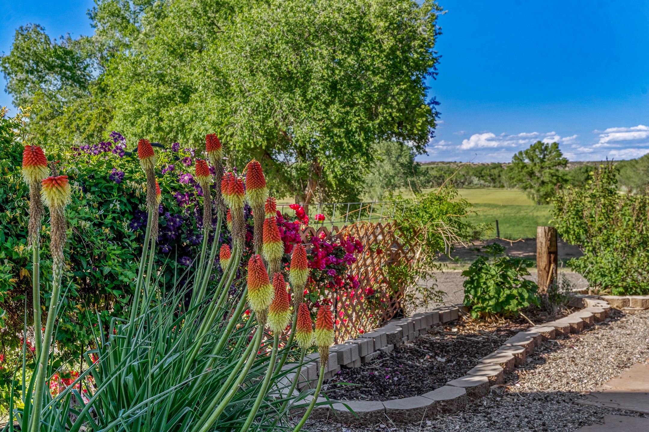 Medanales, New Mexico 87548, United States, 2 Bedrooms Bedrooms, ,2 BathroomsBathrooms,Residential,Active,153043