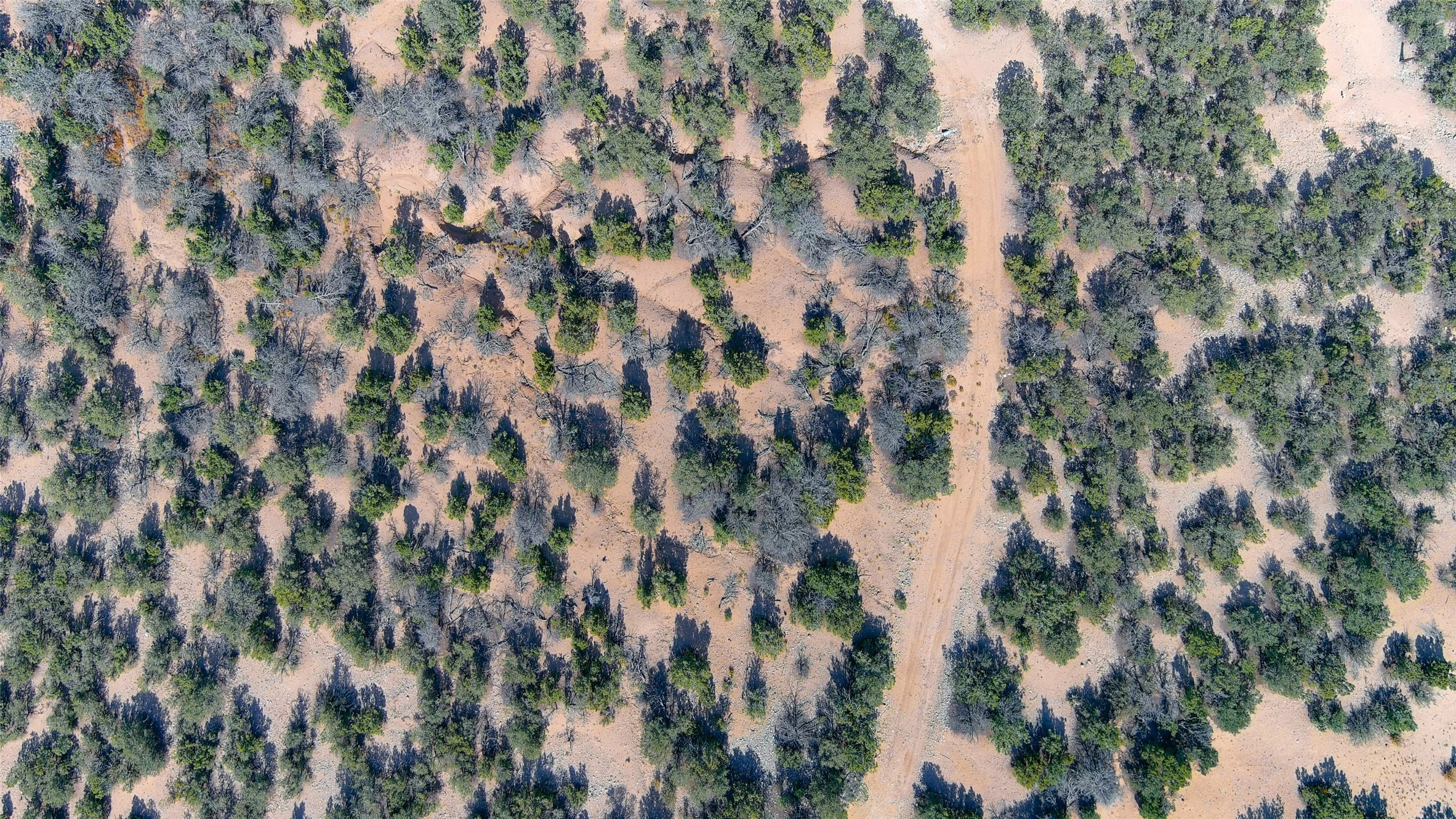90 Tano Road, Santa Fe, New Mexico image 3