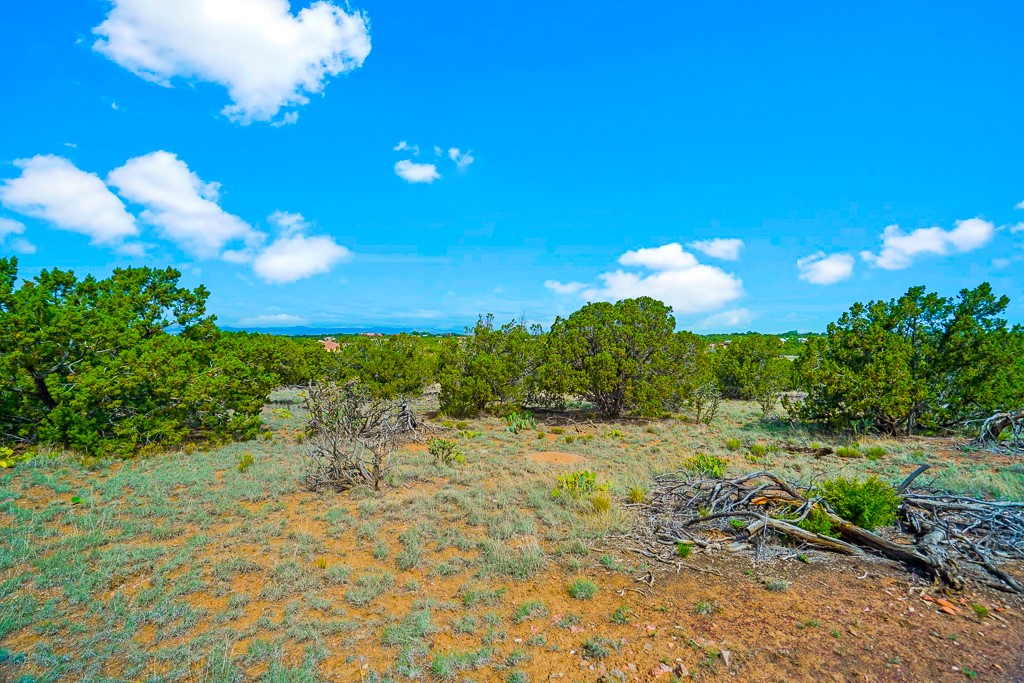 Camino Del Sol, Santa Fe, New Mexico image 18