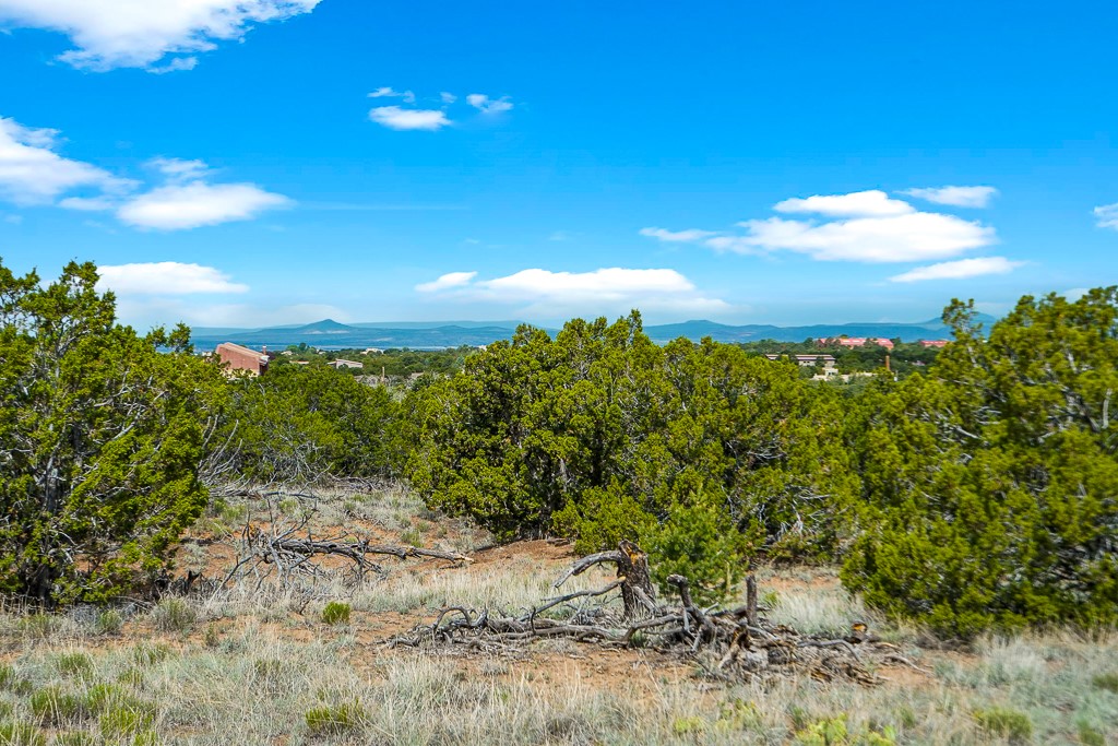 Camino Del Sol, Santa Fe, New Mexico image 2