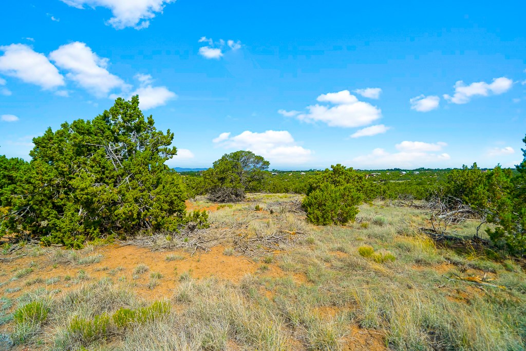 Camino Del Sol, Santa Fe, New Mexico image 9