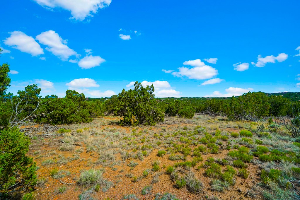 Camino Del Sol, Santa Fe, New Mexico image 8